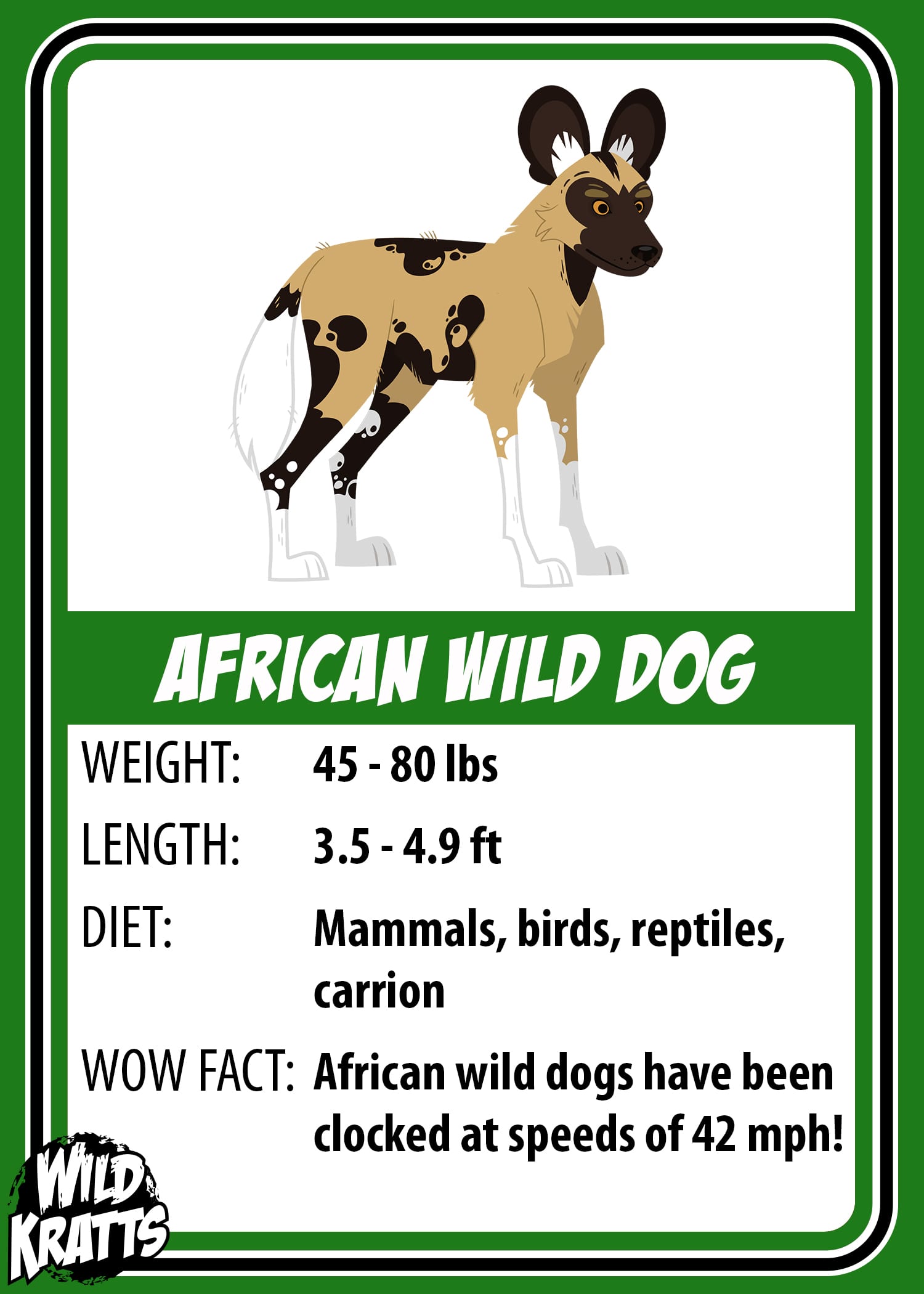 African Wild Dog
