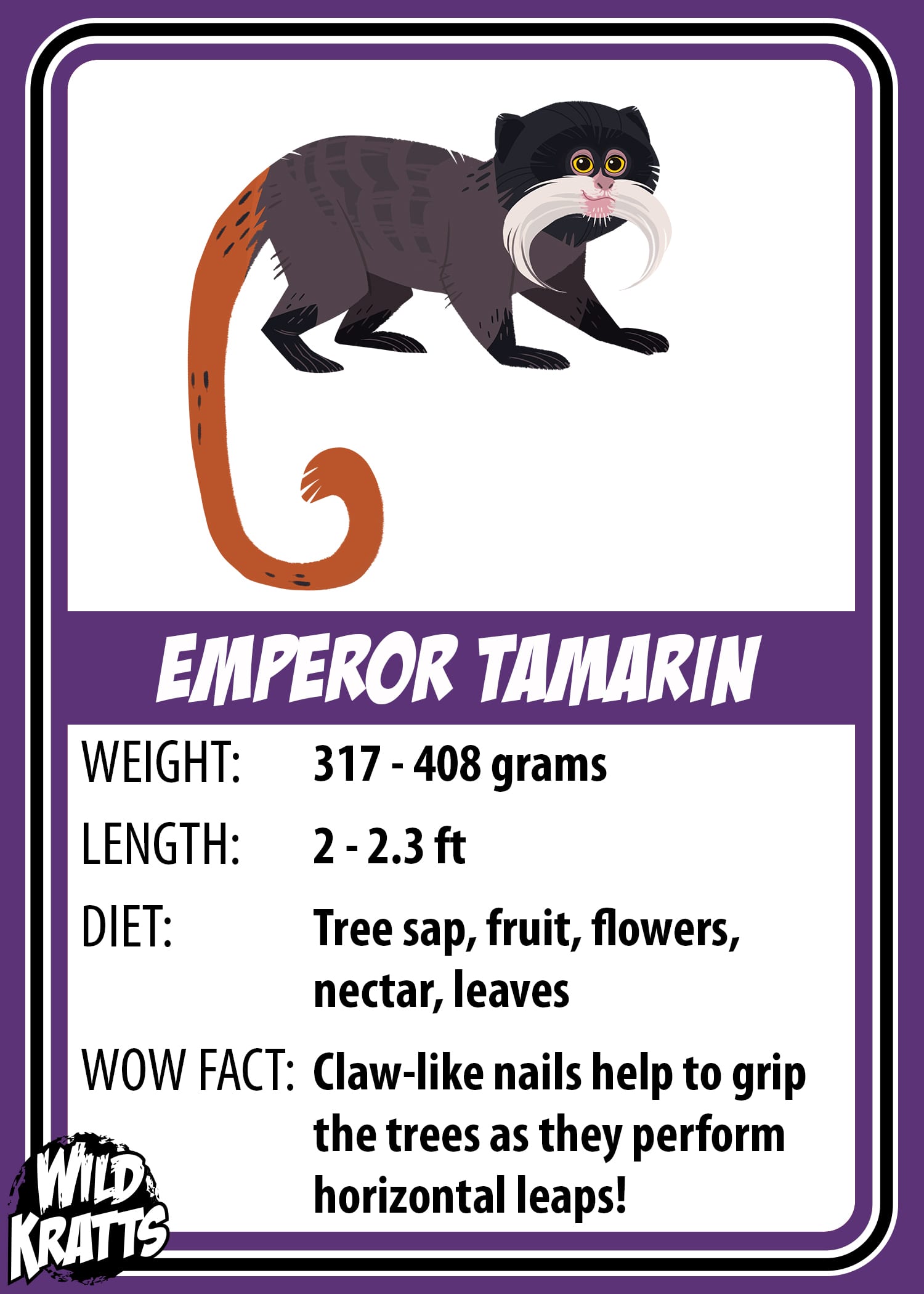 Emperor Tamarin_LOWER v2
