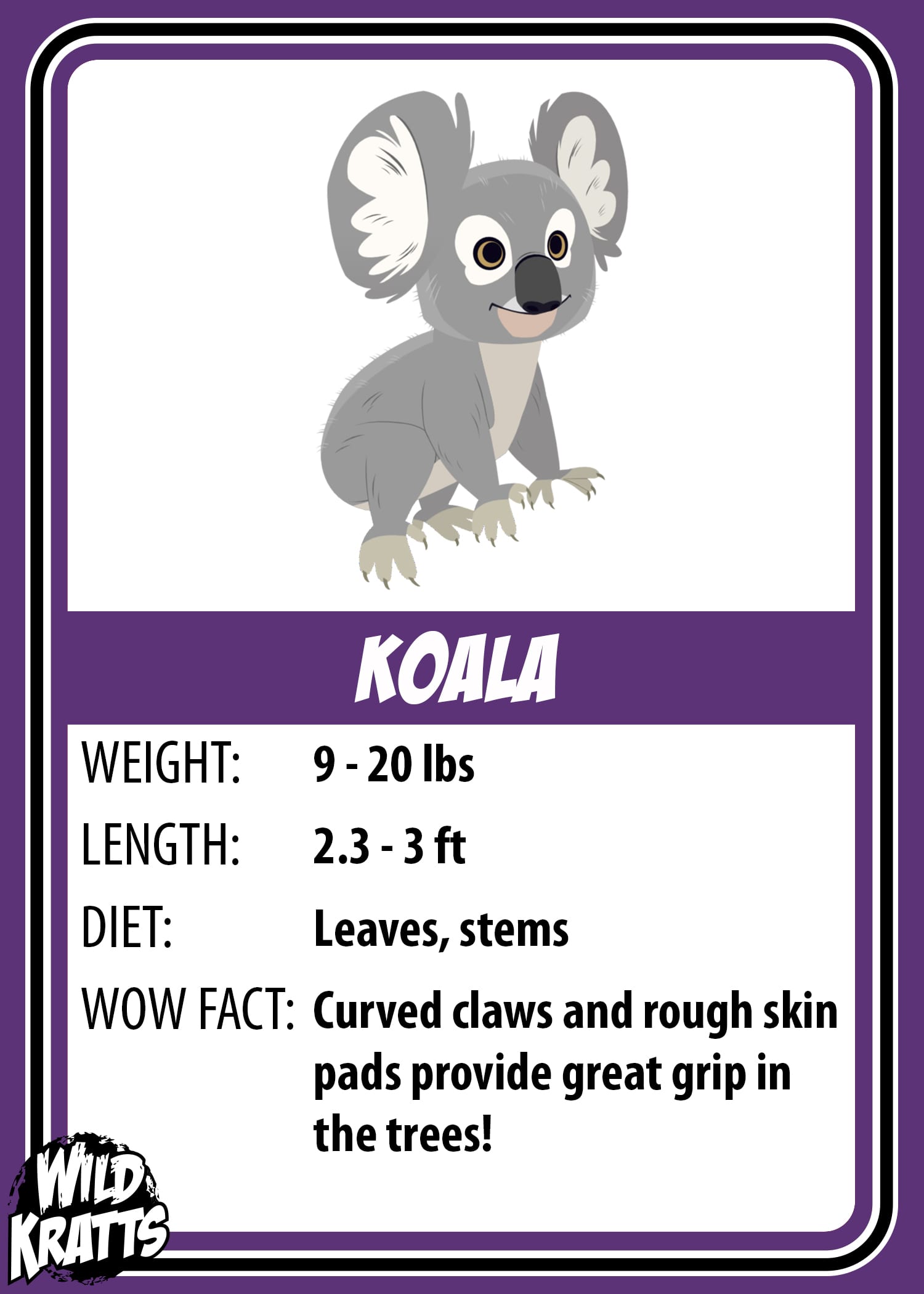 Koala_LOWER