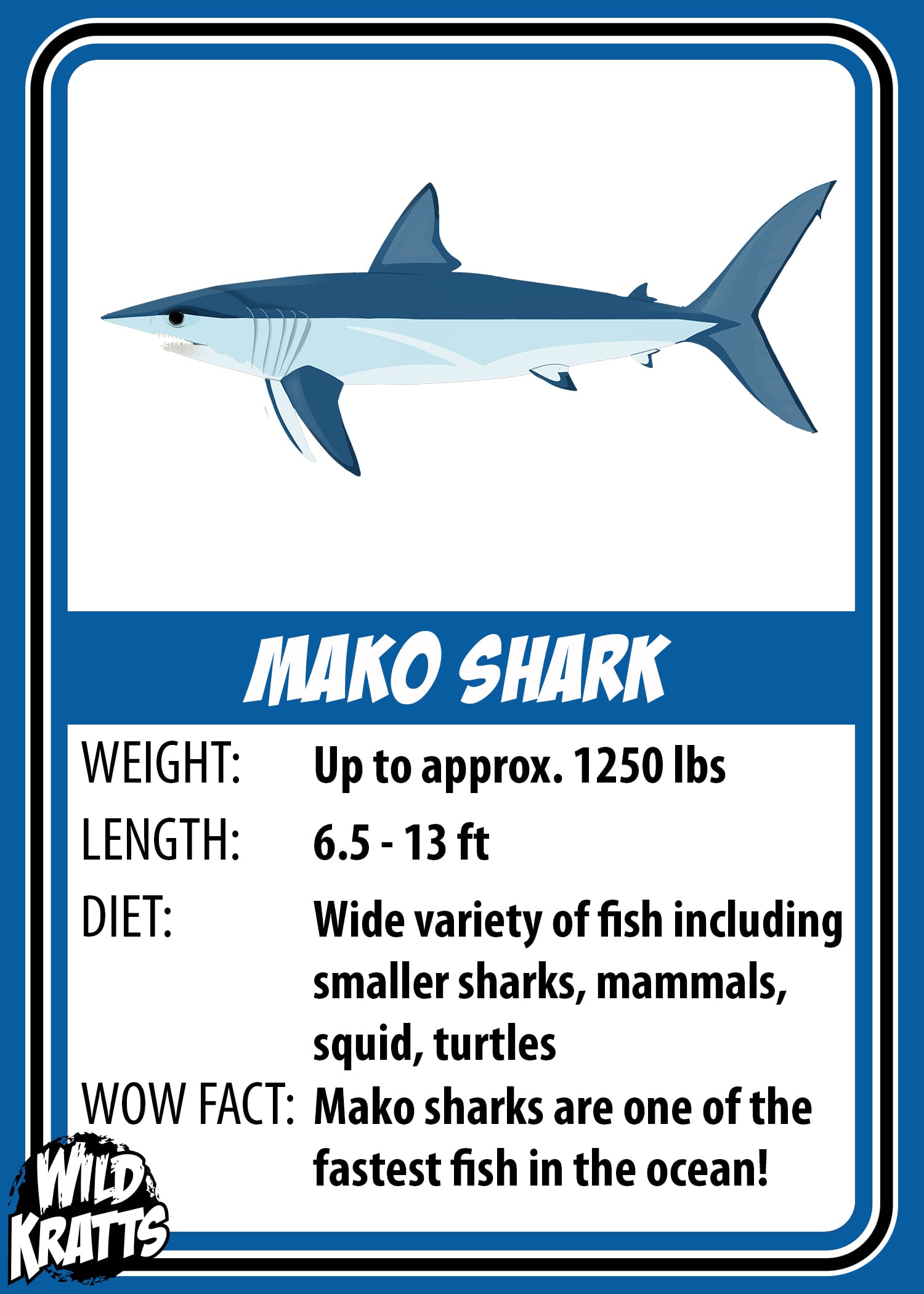 Mako Shark_LOWER