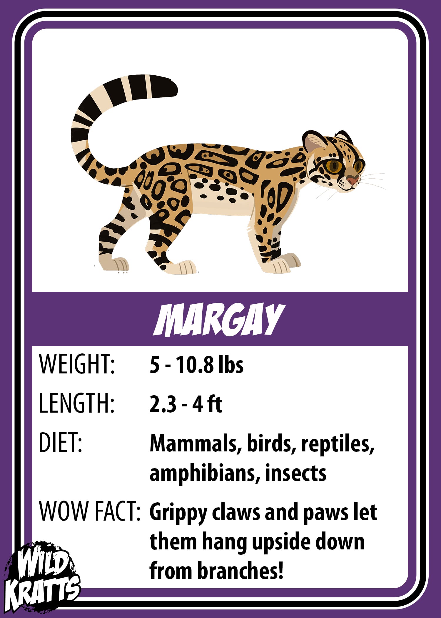 Margay_LOWER