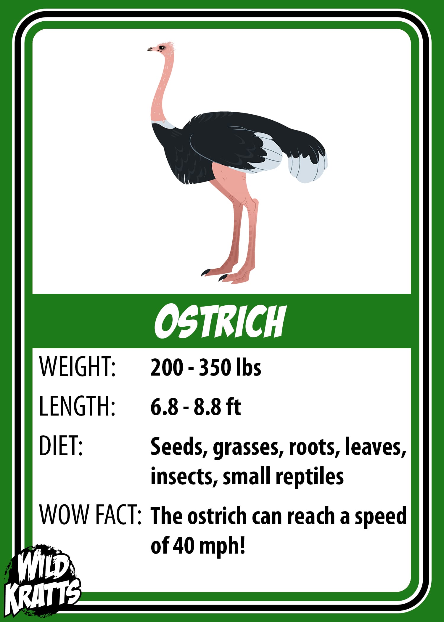 Ostrich