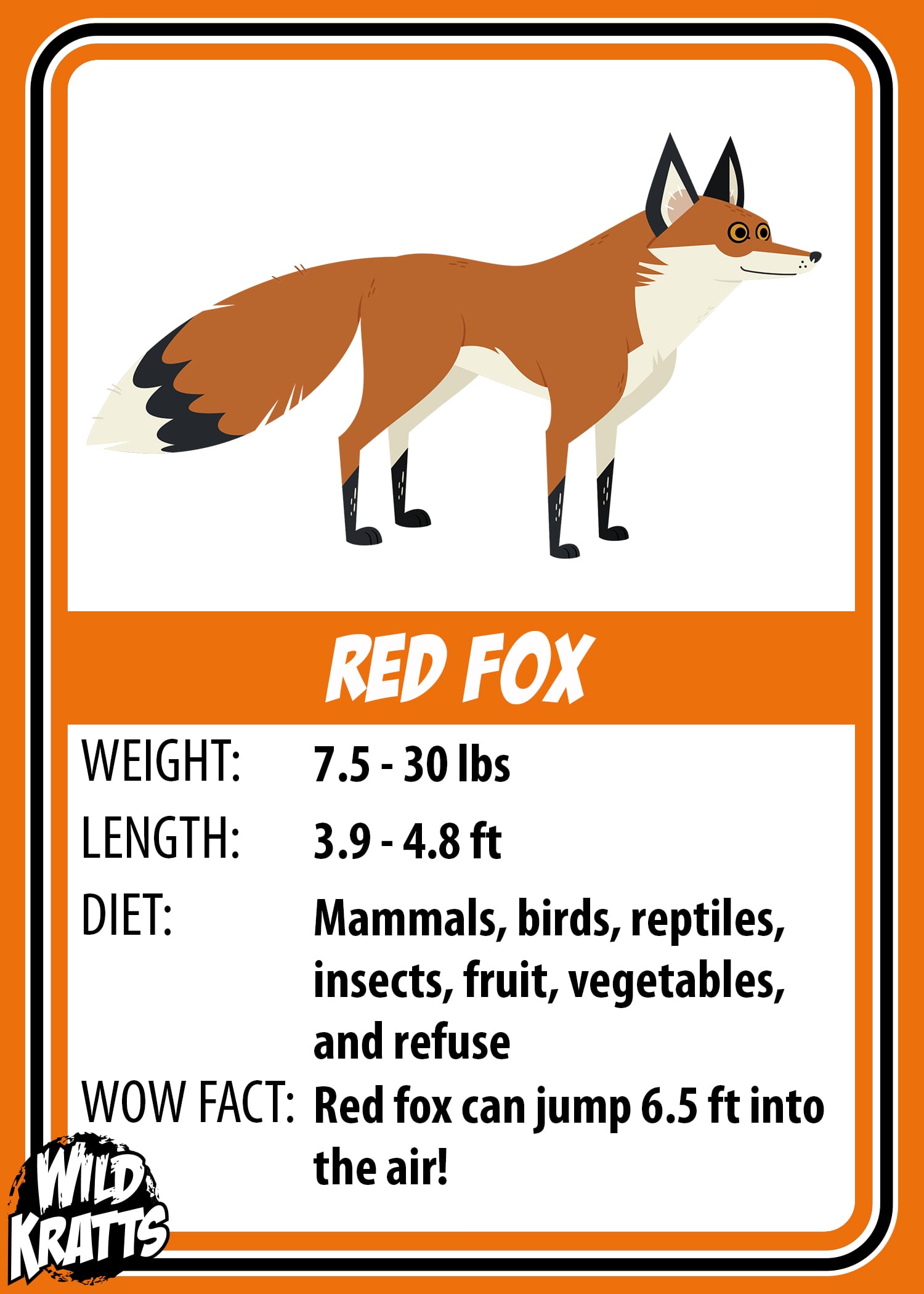 Red Fox_LOWER