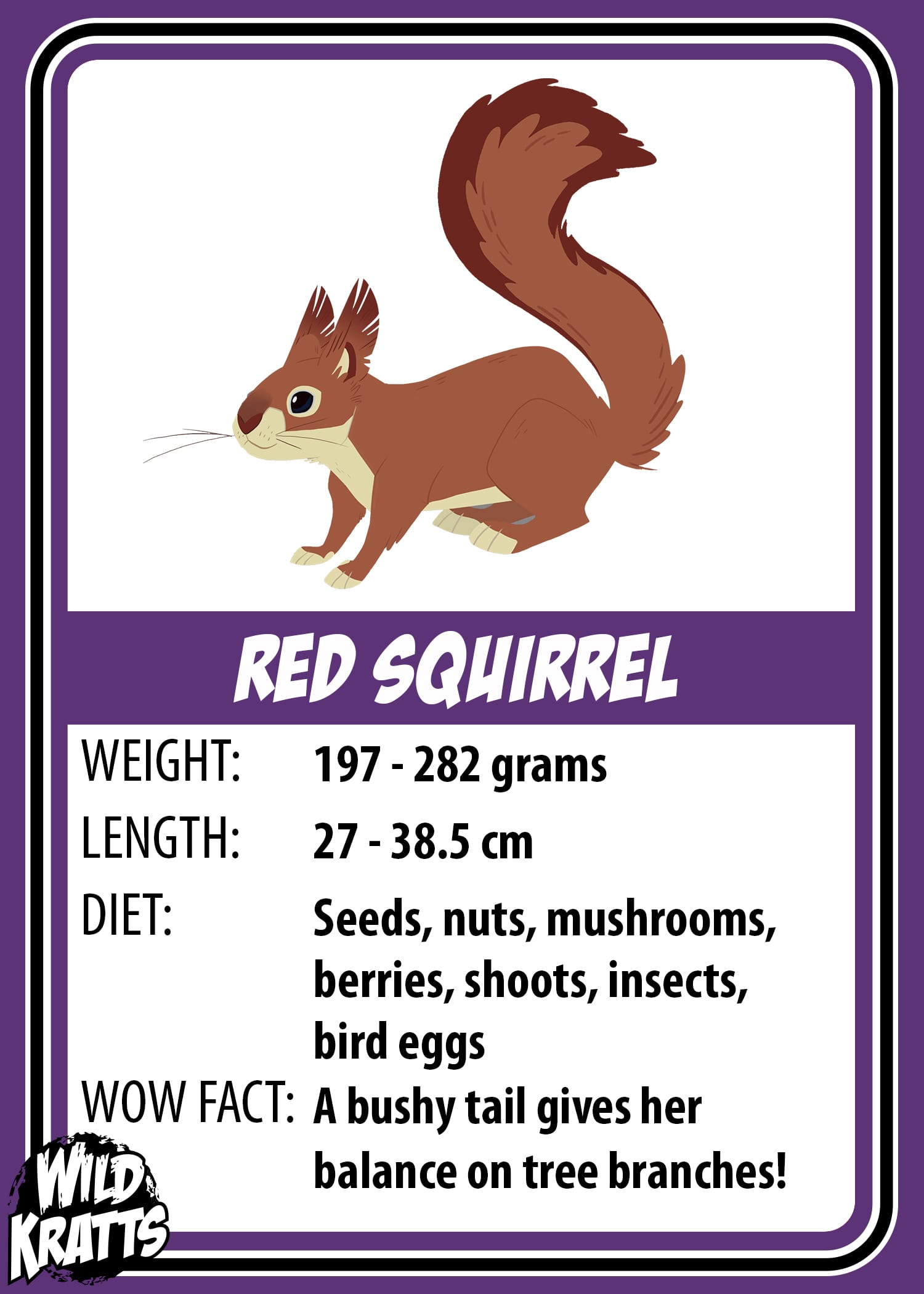 Red Squirrel v2_LOWER