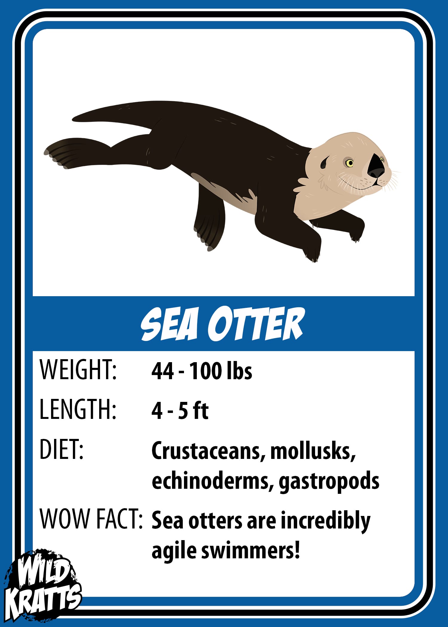 Sea Otter Card_LOWER