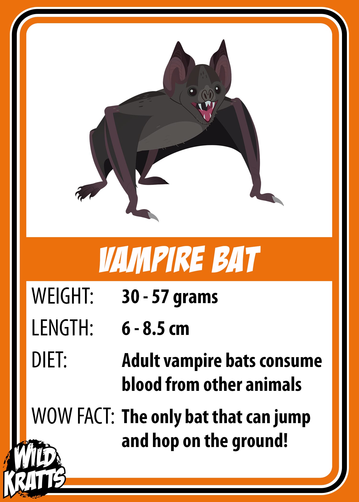 Vampire Bat_LOWER