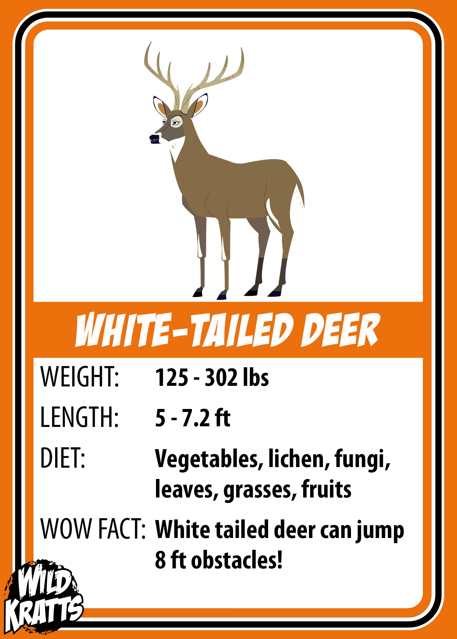 White Tailed Deer_LOWER