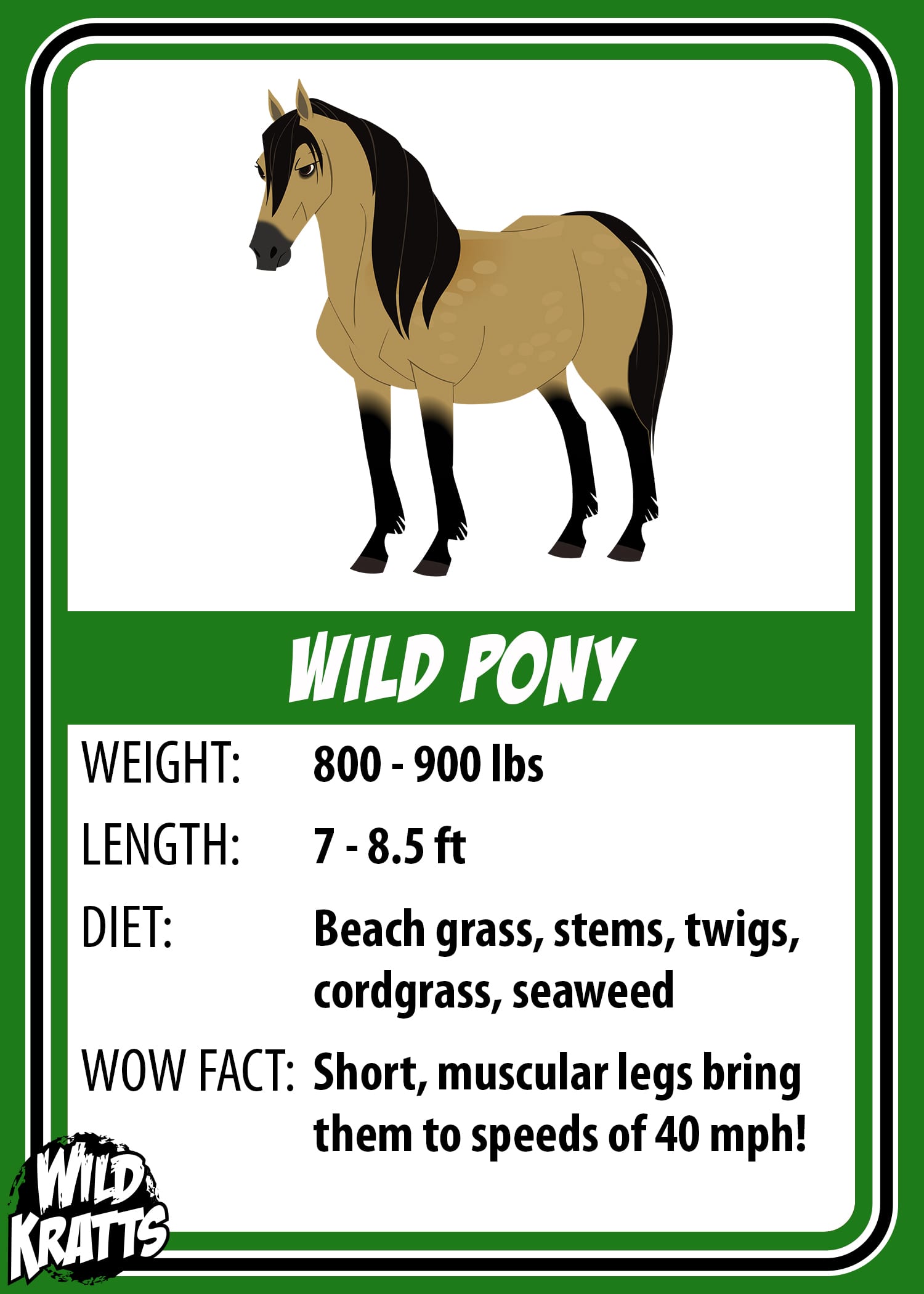 Wild Pony