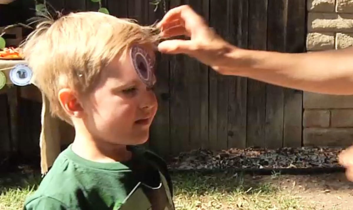 wild kratts what am i game