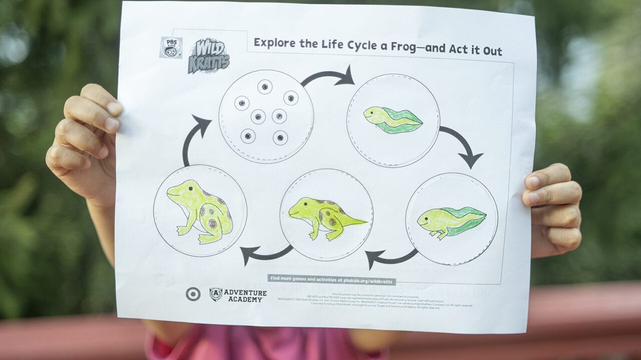 Wild-Kratts_Parent-Activities_Life-Cycle-of-a-Frog_Hero-Image-1-1500x1000