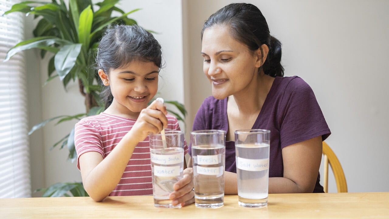Wild Kratts Sink or Float Activity
